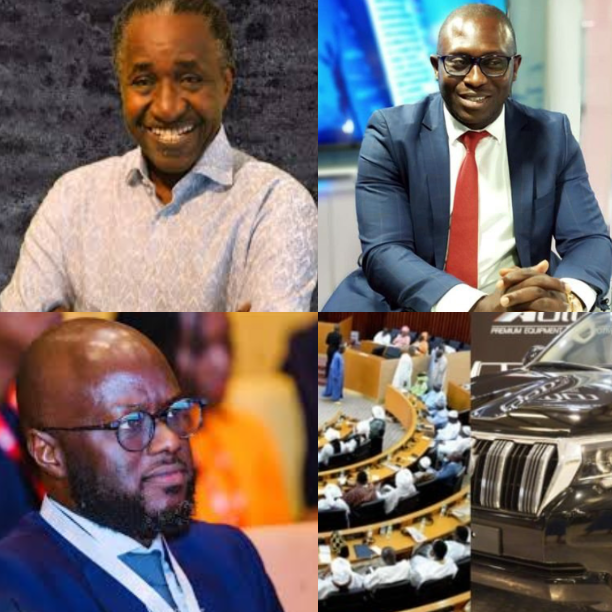 Adama Gaye - El Malick Ndiaye - Bachir Fofana - Assemblée nationale