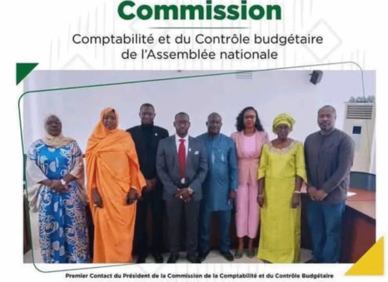Assemblée nationale - Guy Marius Sagna - Ameth Diallo