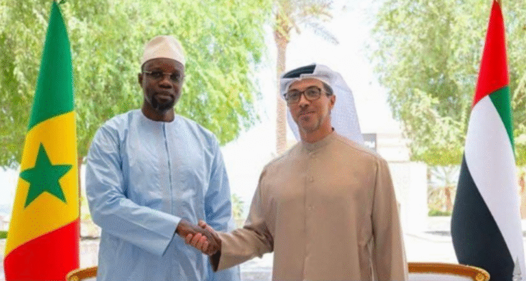 Cheikh Mansour Bin Zayed Al Nahyan - Ousmane Sonko (2)